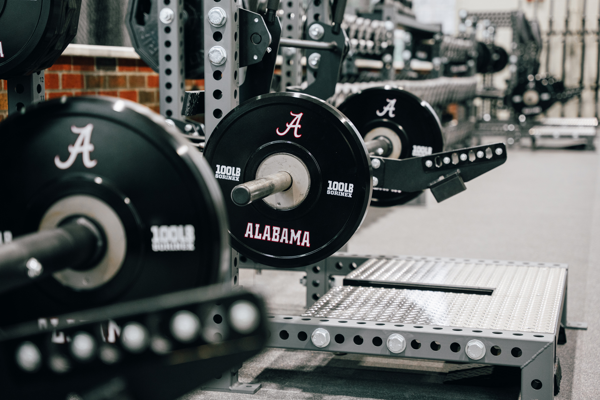Alabama Baseball