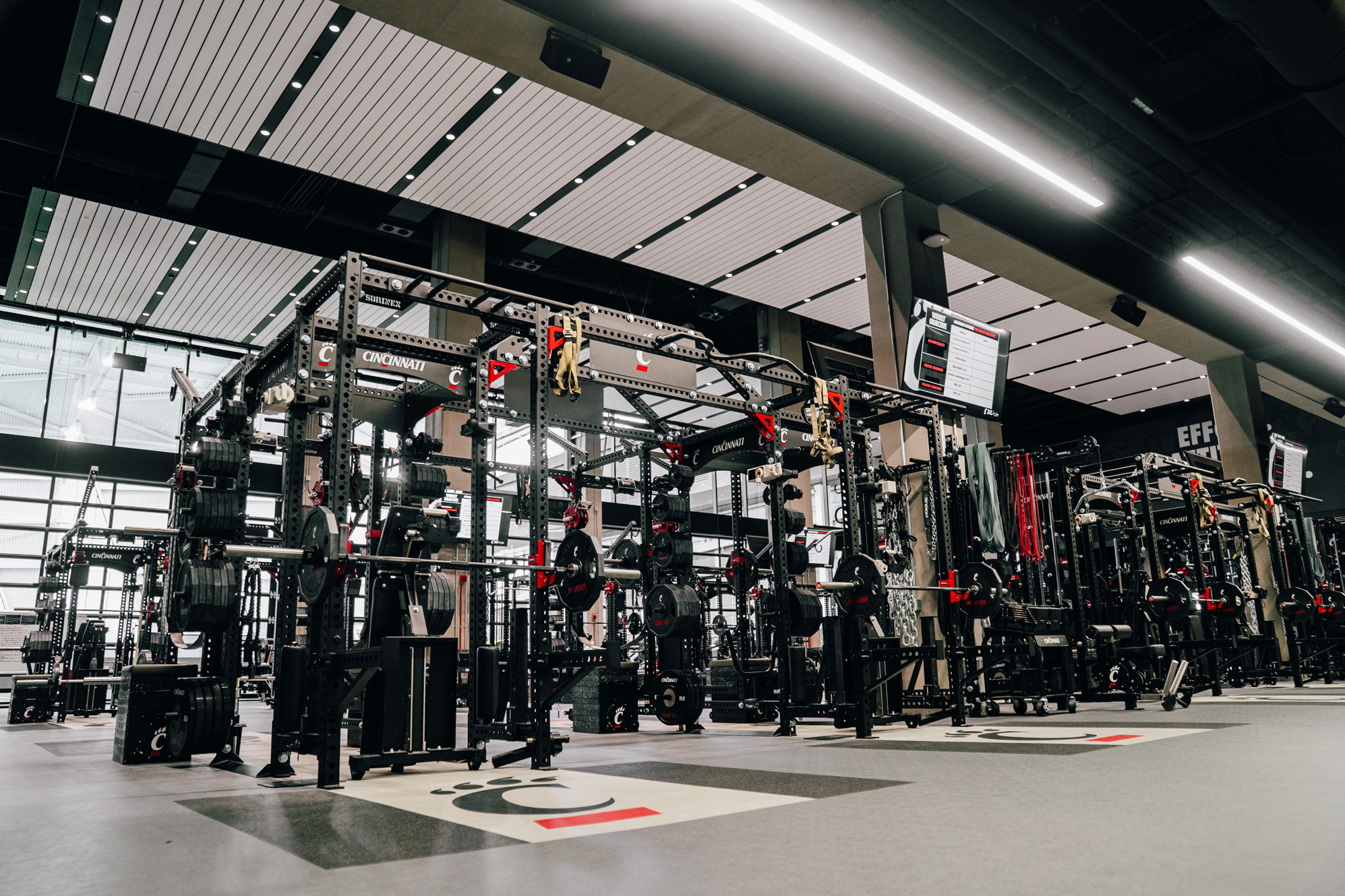 Cincinnati Football