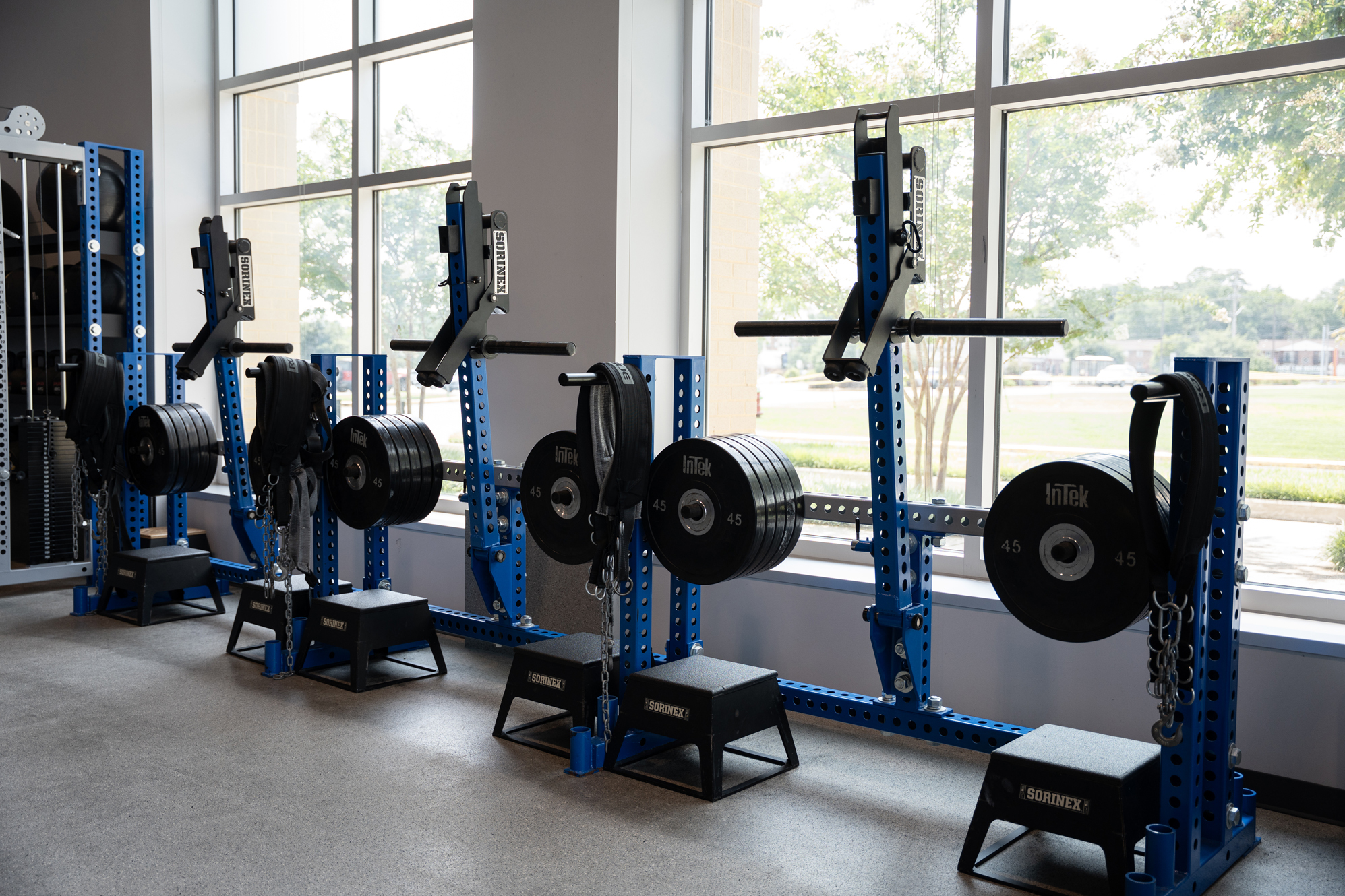 University of Delaware