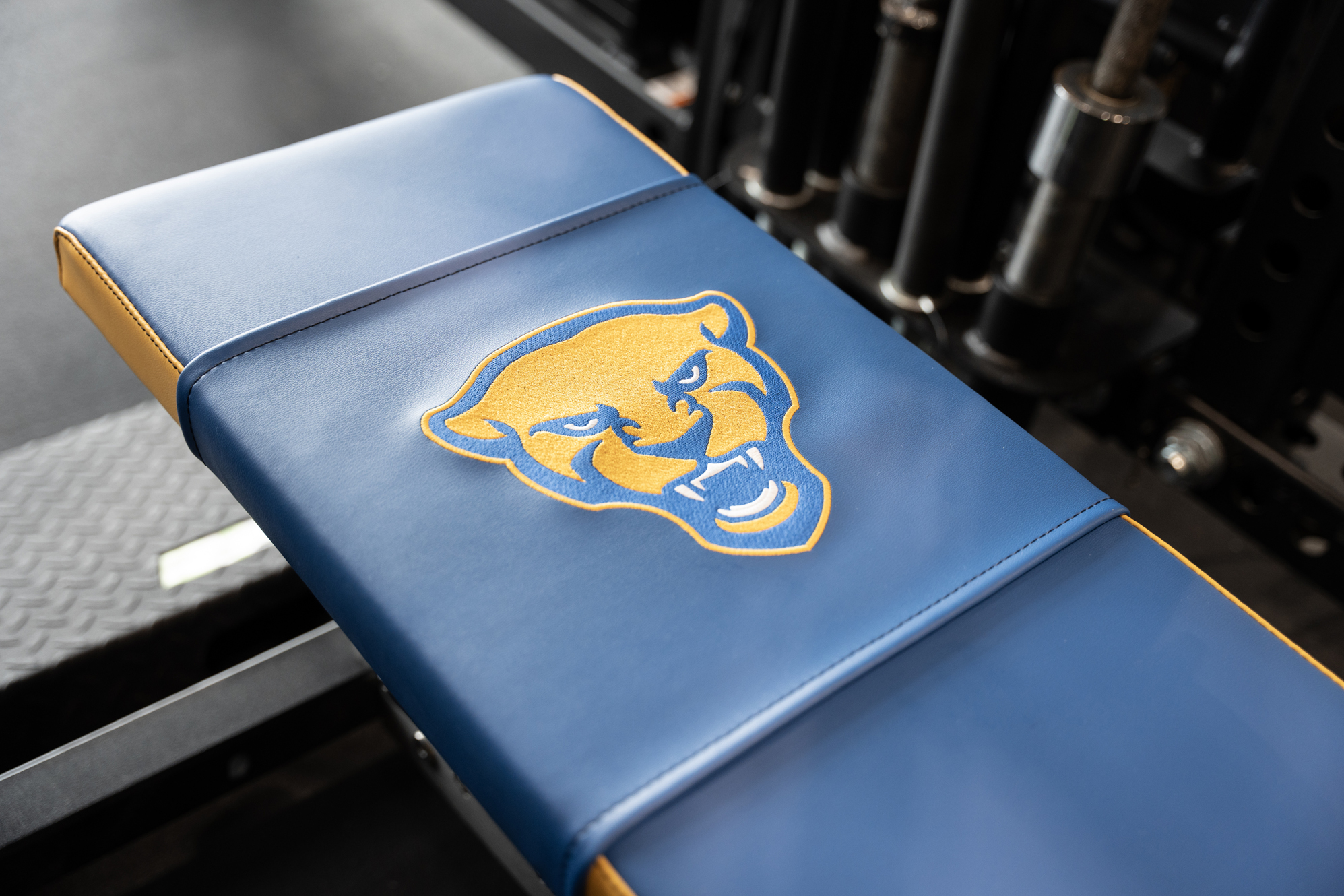 University of Pittsburgh Olympic