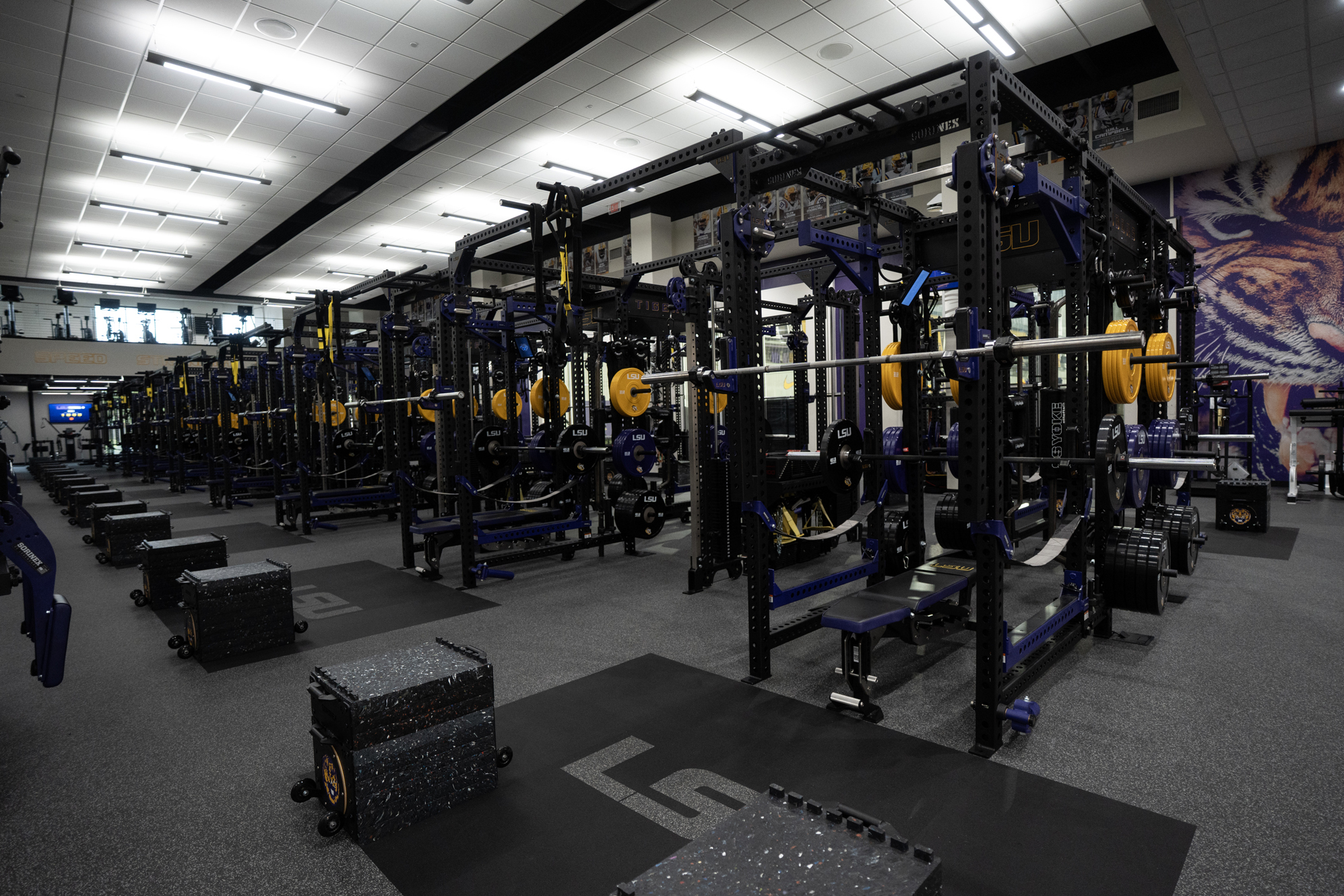 LSU Football