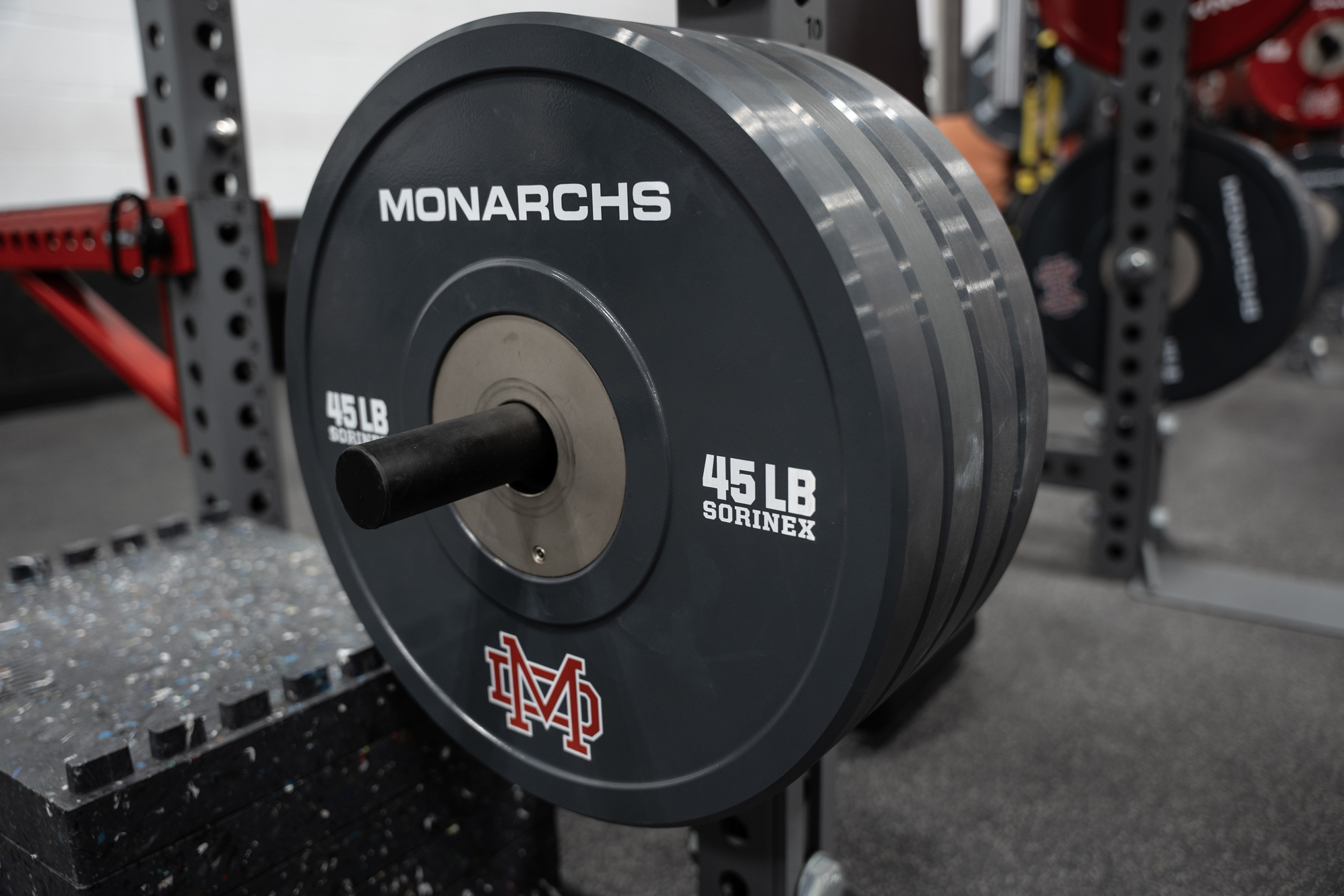 Mater Dei High School