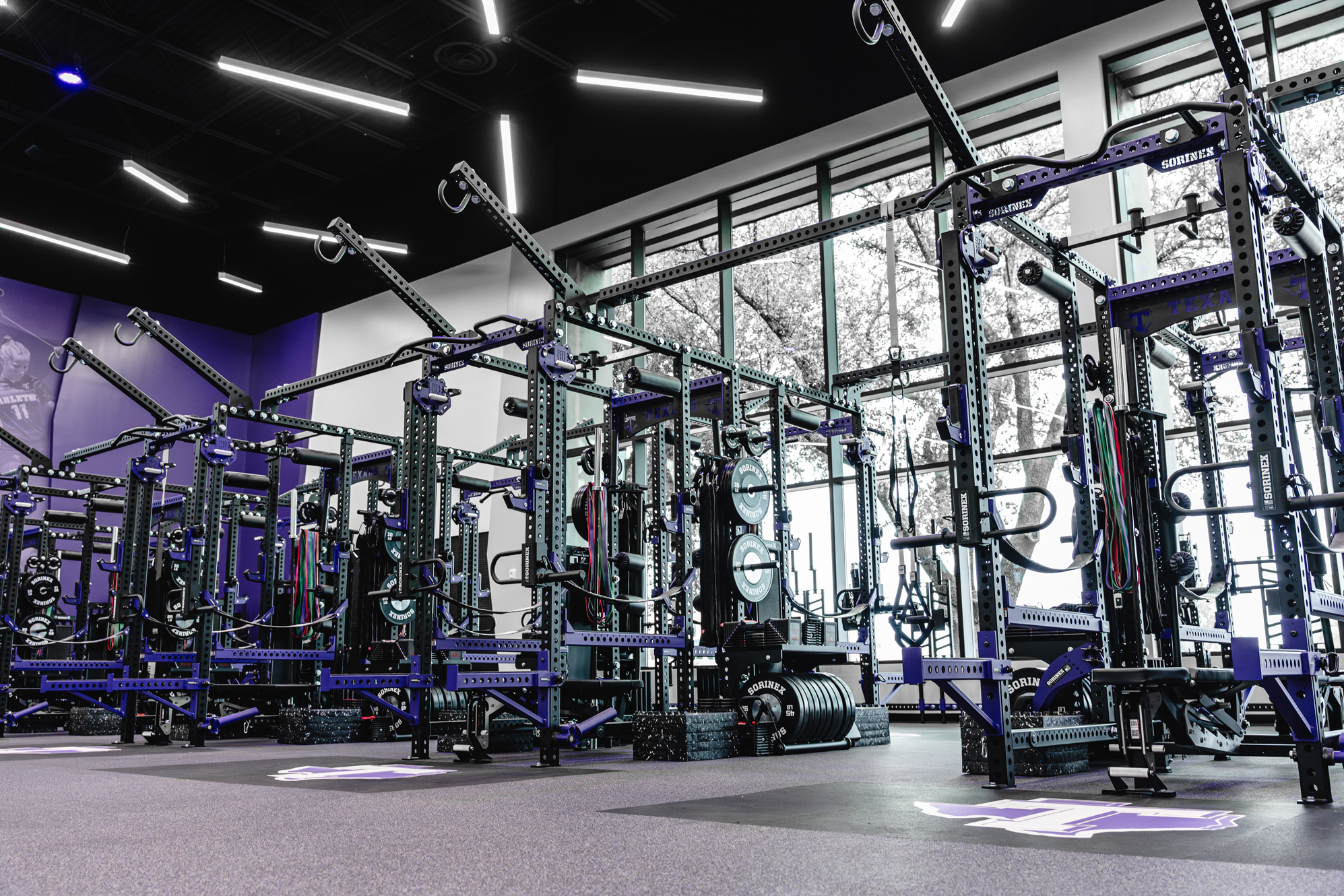 TARLETON STATE UNIVERSITY