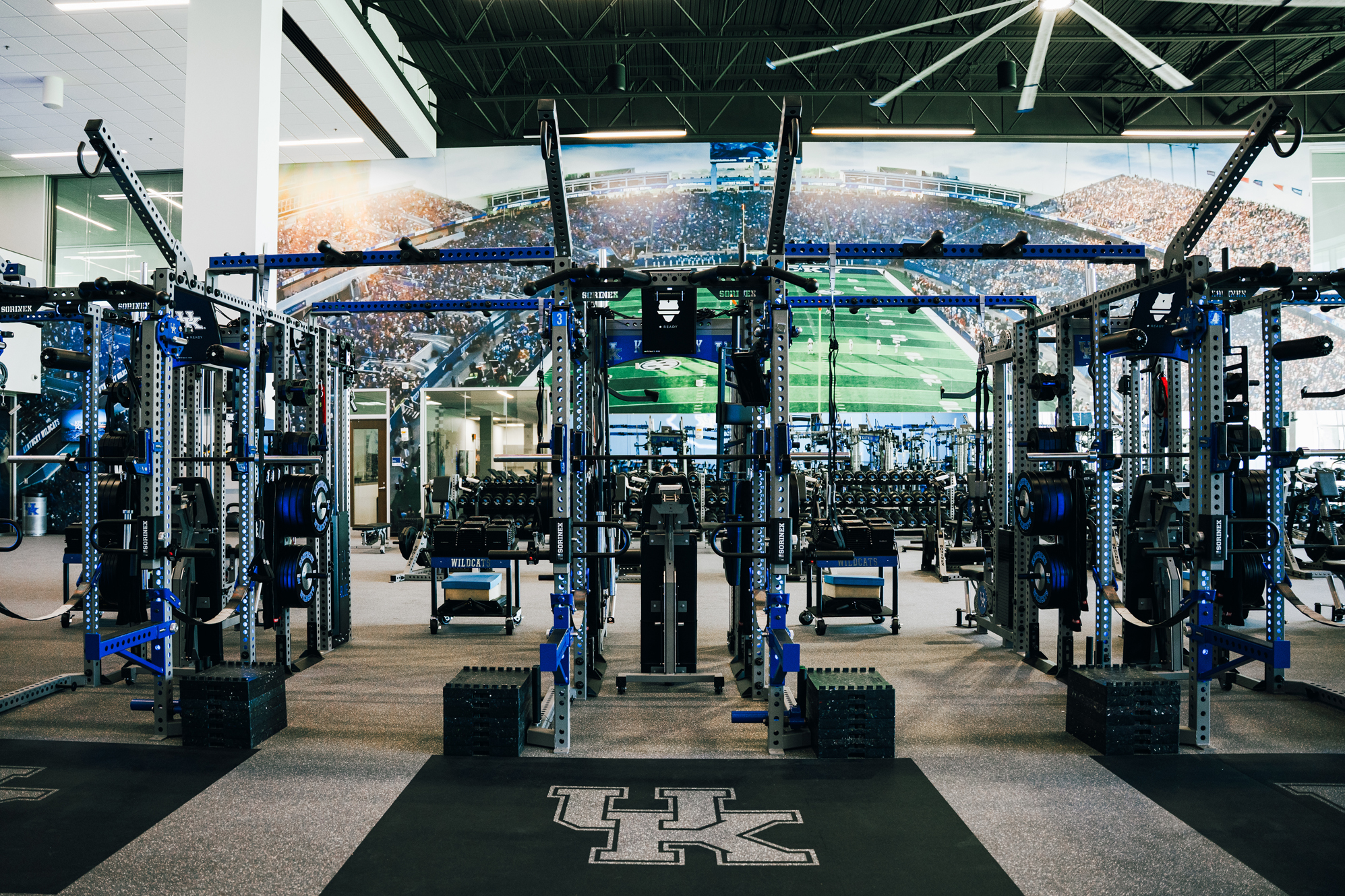 University of Kentucky Football