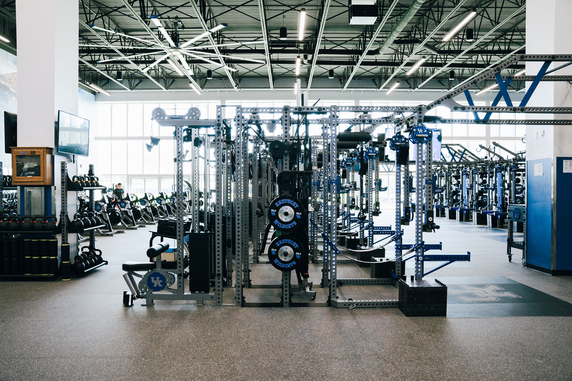 University of Kentucky Football