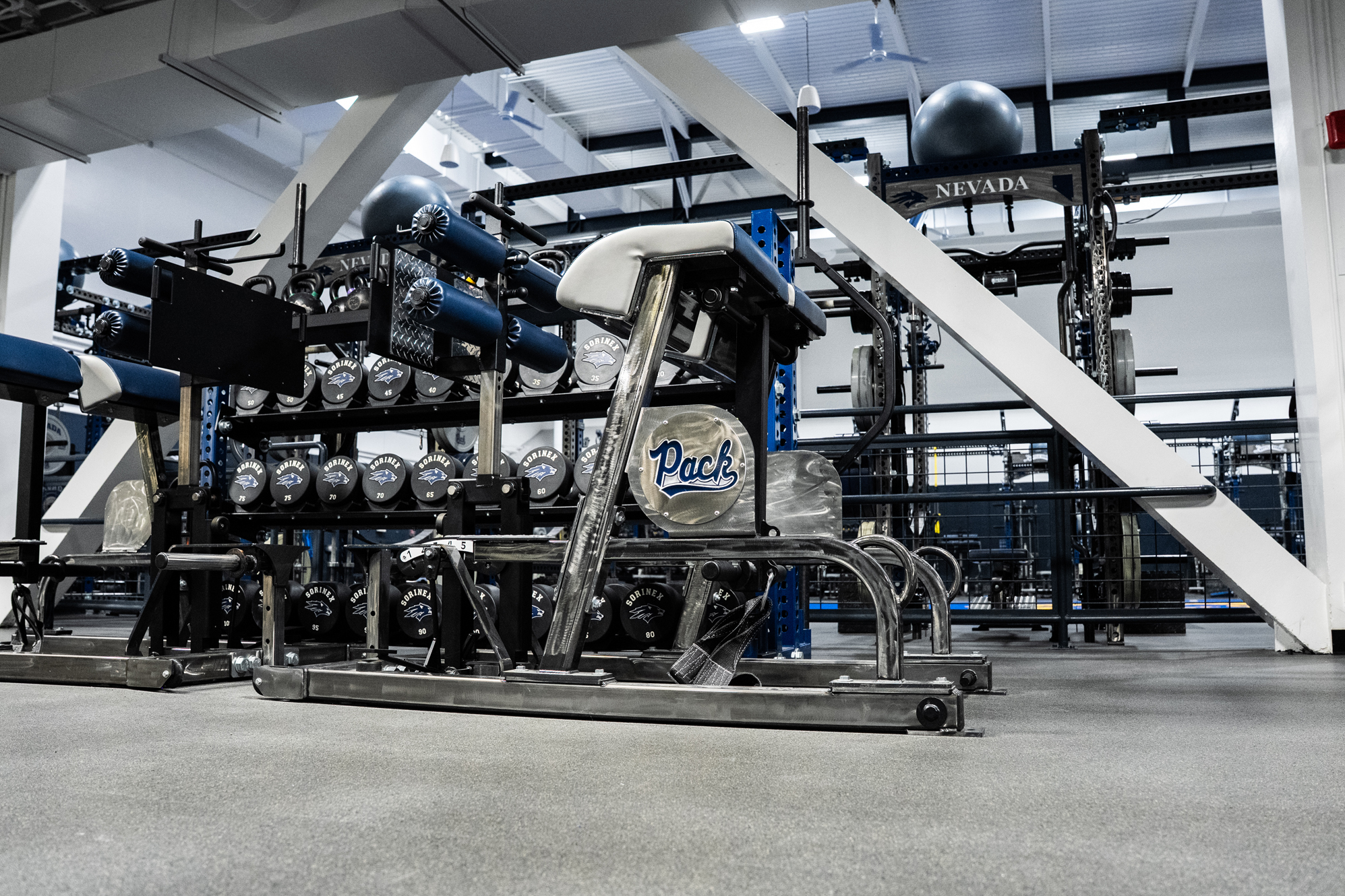 University of Nevada