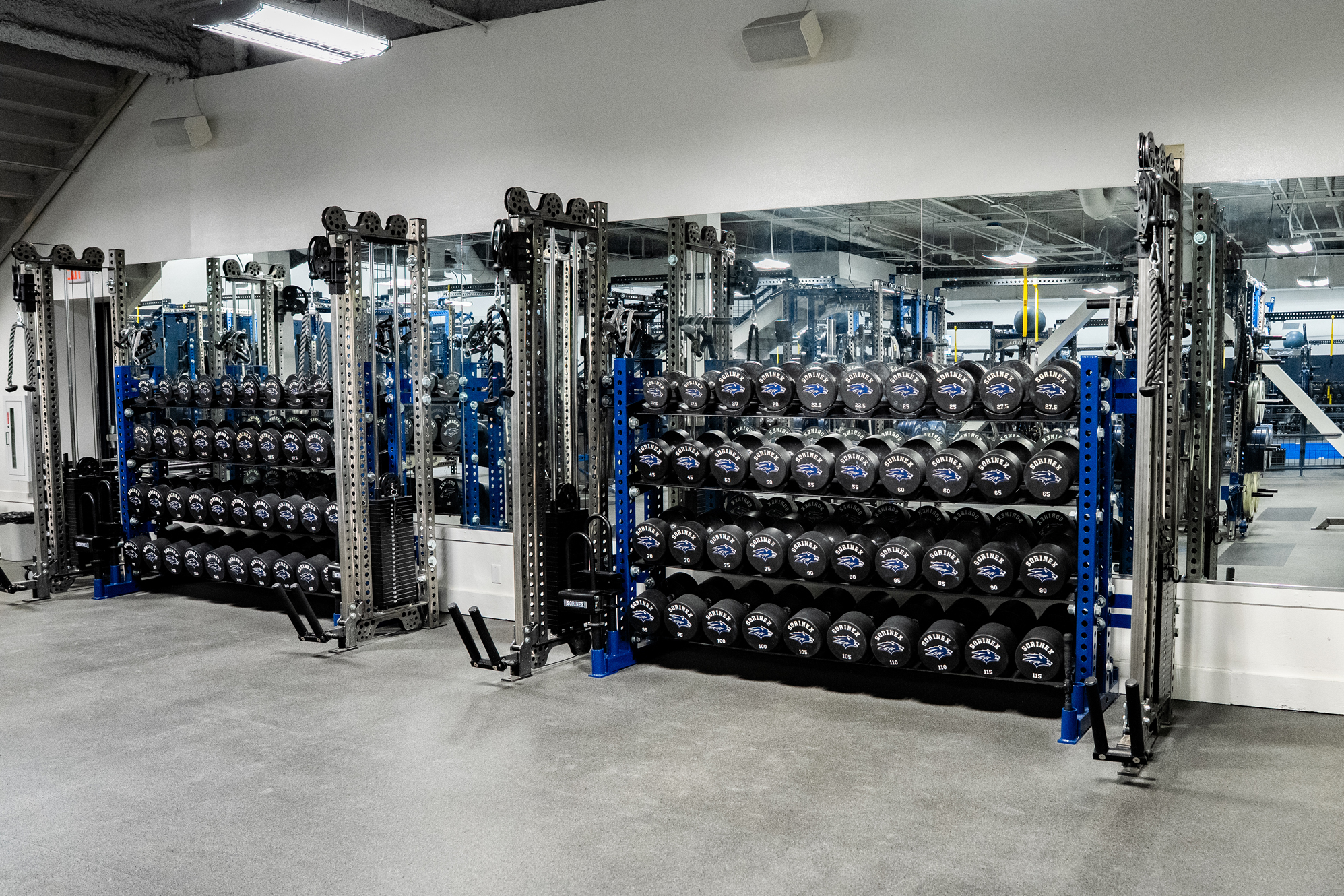 University of Nevada