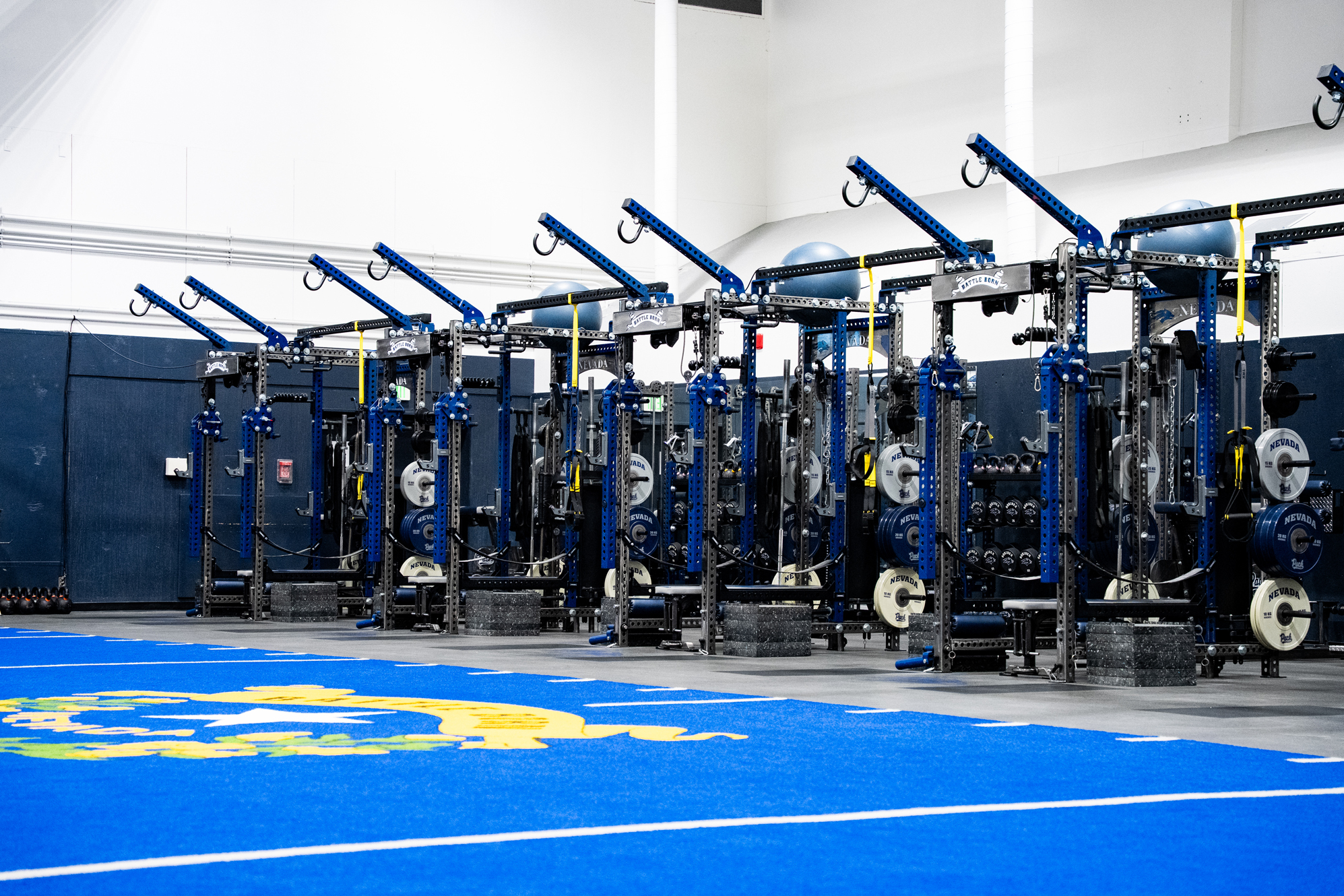 University of Nevada