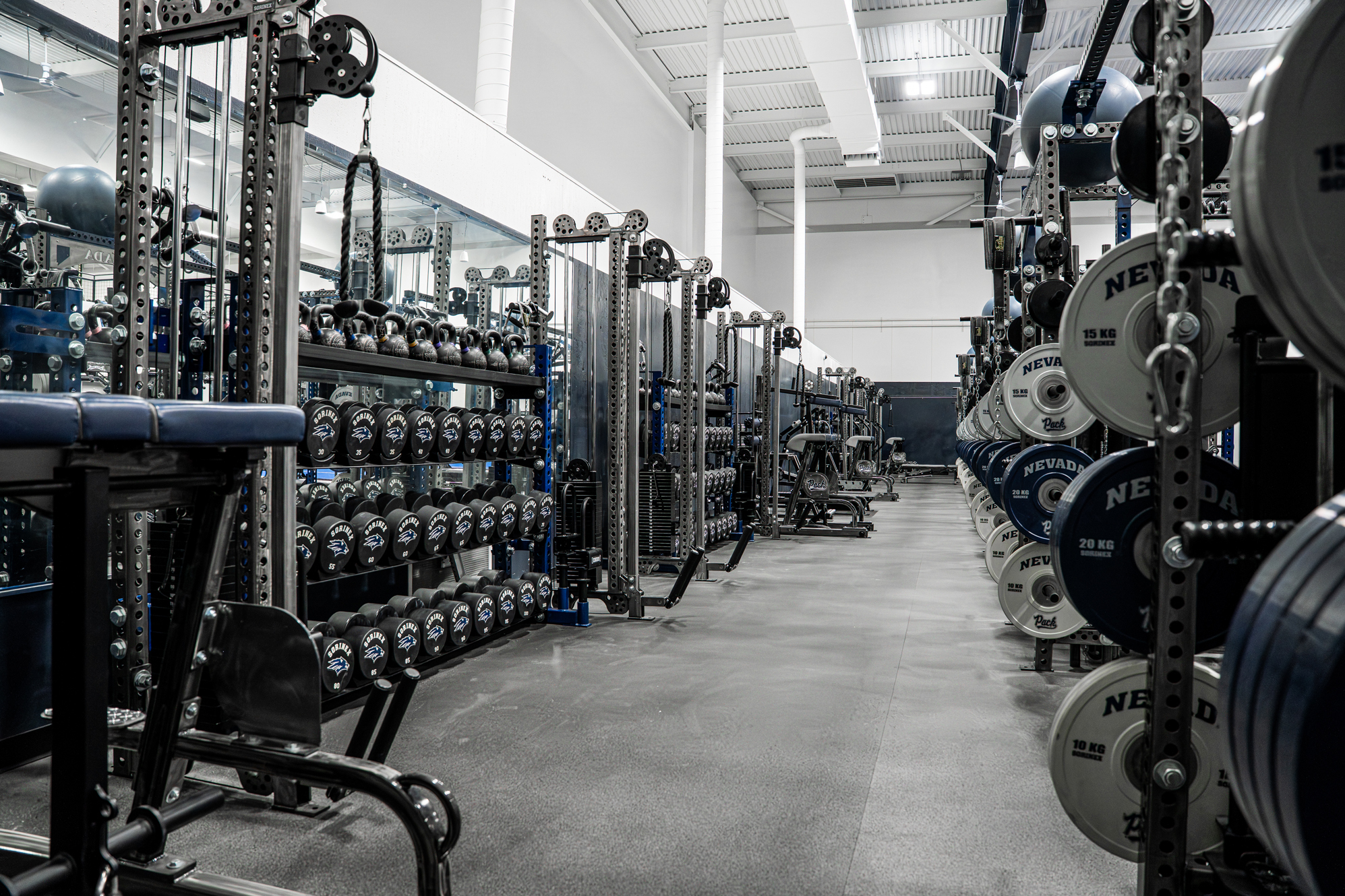 University of Nevada