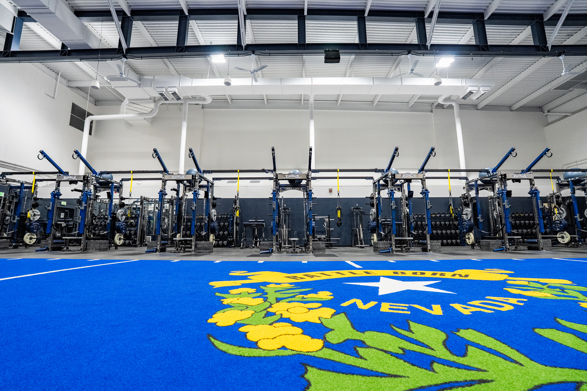 University of Nevada